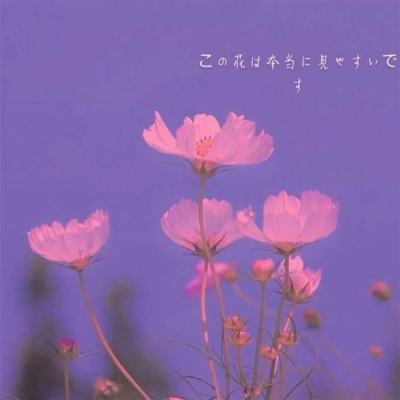 混沌天下游戏
